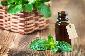 Peppermint Oil To Get Rid Of Mice: Does It Work? - Mouse Trap Guide
