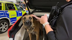11K views · 139 reactions | NEWS: Operational support officers...