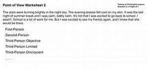 Point of View Worksheet 2Testing as Christopher popocaQuestio... | Filo