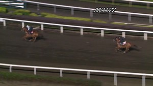 8.8K views · 182 reactions | 澳洲好手 #麥利奧 開操，策姚廐「你知我拼」勝出第五組草閘，沿途與鄉里潘頓有傾有講，另外替希斯「樂天派」大圈快試，再入烽火台向練馬師自我介紹，爭取支持。 | 超班馬簿 HK Racing Post | Facebook