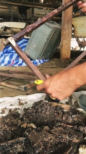 🐝 Don't Throw Away Old Beeswax – Reuse It! 🍯