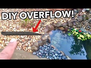 EASY DIY POND OVERFLOW!