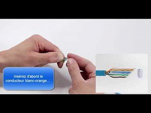 comment raccorder un plug mâle RJ45 sur un câble rigide CAT6 F/UTP ?