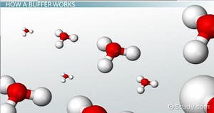 Buffer System in Chemistry | Definition, Function & Examples