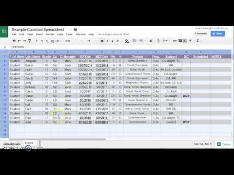 Caseload Management Spreadsheet