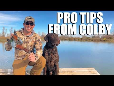From Hunt Tests to Field Trials: Colby Williams’ Journey with Top Line Retrievers