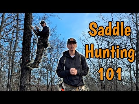 The Saddle Hunting Method That Gets You Close to Deer