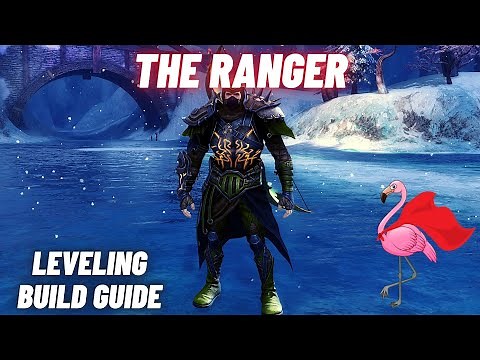 GUILD WARS 2: The Ranger - Leveling Build Guide [Weapons / Armor / Skills / Traits]