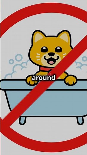 How to Bathe Your Cat: A Step-by-Step Guide