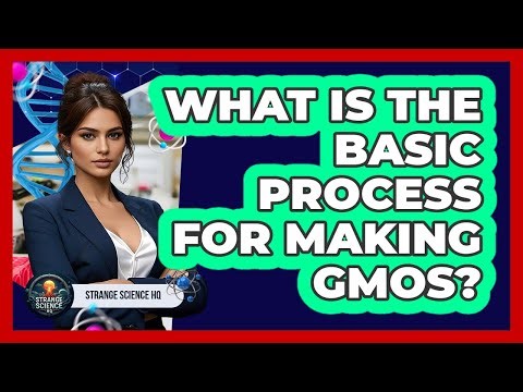 What Is The Basic Process For Making GMOs? - Strange Science HQ