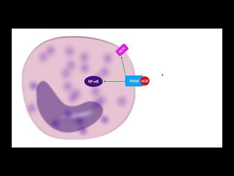 Advanced Glycation End-Products (AGEs) EXPLAINED [Part 1]