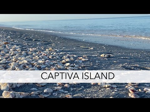 Sea shell hunting in Florida on Captiva Island. Let's hunt for beach treasures and see what we find
