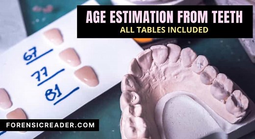 Age Estimation From Teeth: All Forensic Odontology Tables Included