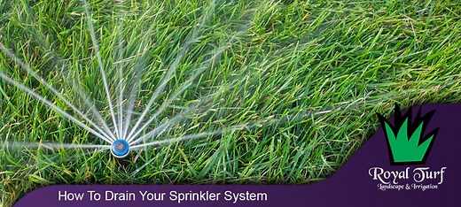 How To Drain Your Sprinkler System In 3 Minutes   FREE PDF