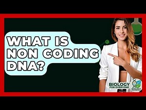 What Is Non Coding DNA? - Biology For Everyone