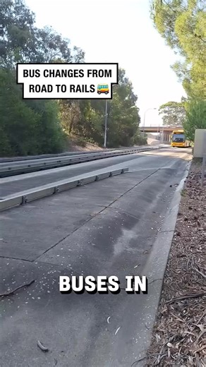 Buses on Rails: A Unique Transit Experience