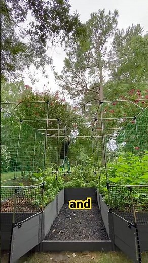 Build the Ultimate Raised Garden Bed | Frame It All Stack & Extend System 🌱