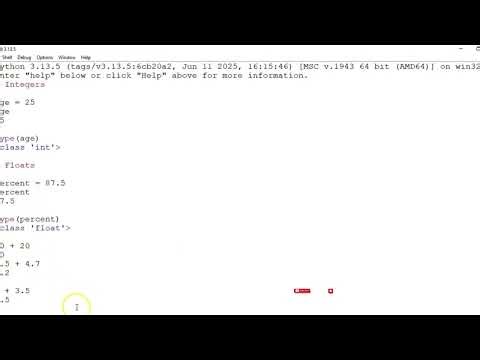 Primitive Datatype