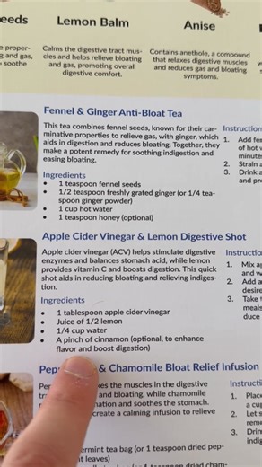  The Natural Healing Handbook – A Practical Guide to Herbal...