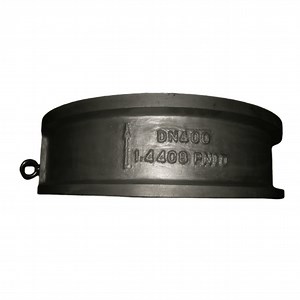 [Hot Item] CE ISO Certified Dual Plate Check Valve with CF8m Body