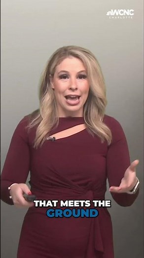 Fog 101: Understanding how fog forms