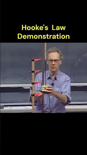 Hooke's law TOP demo