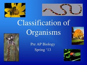 Classification of Organisms - SlideServe