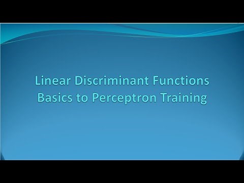 Linear Discriminant Functions: Basics to Perceptron [E20]
