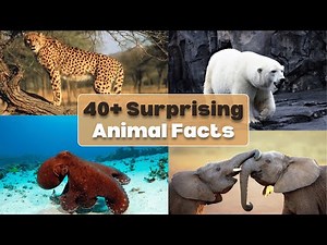 40+ Most Surprising Animal Facts