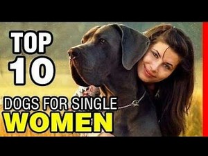 Top 10 Best Dog Breeds for Single Women Living Along