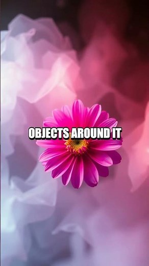 The Secret of the Troxler Effect