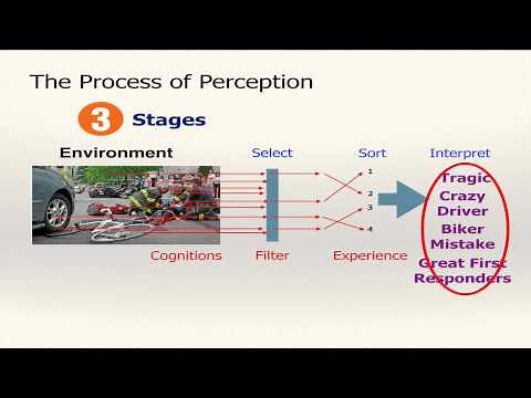 The Perception Process