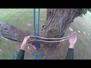 Basic Tree Climbing 01