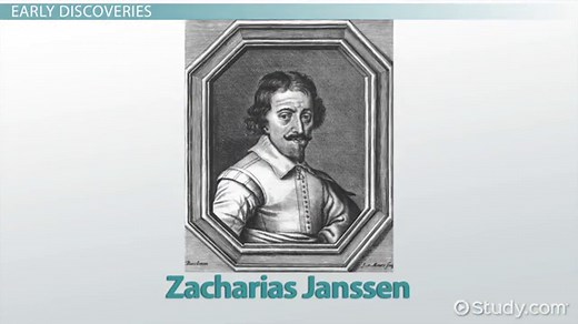 Modern Cell Theory | Overview, Development & Importance