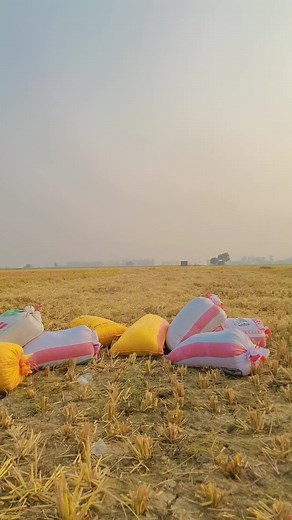 Computer Check Troubleshooting Guide