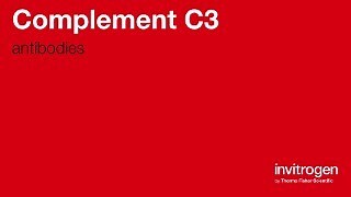 Complement C3 antibodies from Thermo Fisher Scientific