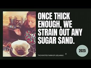 Turning Sap into Syrup: Full Maple Syrup Process at Home