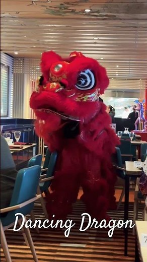 Dancing Dragon on Carnival Mardi Gras, while having dinner #travel #cruisetour #flamencomusic