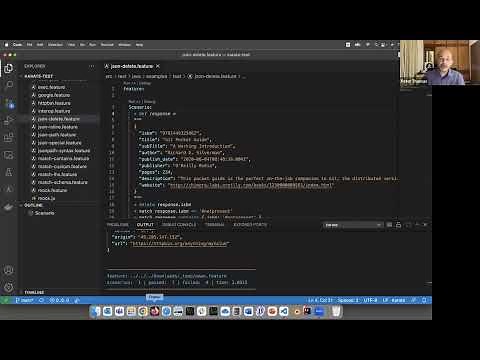 Karate Visual Studio Code Extension Demo