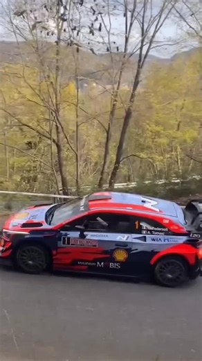 Luca Pedersoli on Instagram: "🔊🔊 #wrc #rally"