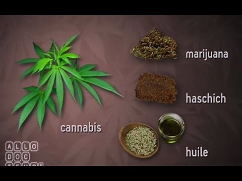 Les effets du cannabis - Le Magazine de la santé