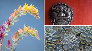 Photoshop 2020 Essential Training: The Basics Online Class | LinkedIn Learning, formerly Lynda.com