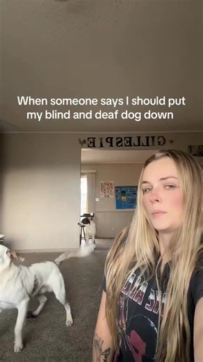 Ghost on Instagram: "People tend to believe disability means suffering. They think “if I was living like that I would be miserable.” But dogs don’t grieve their lost senses the way humans do. Especially when they were born without them. They truly live in the here and now. If their needs are met, they feel loved and safe, the are mentally stimulated enough…. They THRIVE!! Blind/deaf ≠ pain. #doublemerle #disabilityawareness #fyp #explorepage #dog"