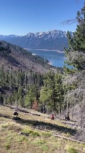 336 reactions · 179 comments | It’s TRUE… There’s finally an item tracker for Android with global range! Introducing Pebblebee, the world’s first rechargeable item tracker that leverages Google’s Find My Device network.  Pre-order now and track what matters most - with Android. | Pebblebee | Facebook