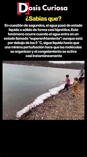 ¿Por qué el agua se congela así? #experimento #ciencia #frio