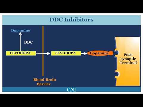 Medications for the Treatment of Parkinson's Disease