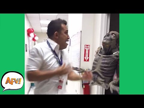 Try Not to SCREECH! 😱😂 | Funny Pranks & Fails | AFV 2020