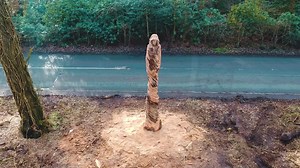 8.4K views · 246 reactions | Here's the time lapse video of the Marbury Lady! Thanks to filmage.co.uk for the excellent editing! | Simon O'Rourke - Tree Carving | Facebook