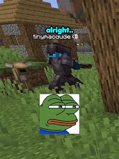 He thought he found cheap. #gamemode #Minecraft #goofygang #funnyminecraftmoments #fyp #fake #cheap #pickle #tinymacdud #creebus #walli #ali #fypシ゚