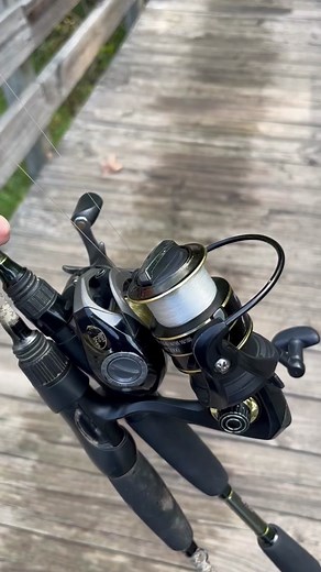 My brother was left home alone so I had to go home😑#skunked #fish